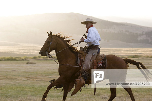 Cowboy reitet  Oregon  USA