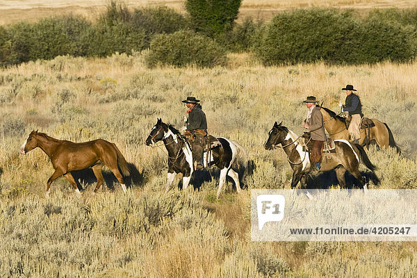 Cowgirl and cowboys with horses  wildwest  Oregon  USA