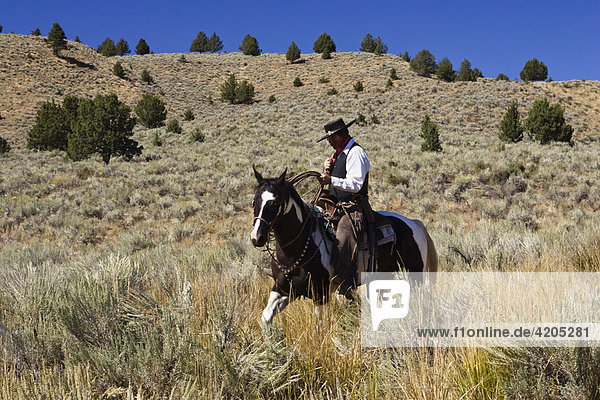Cowboy riding  Oregon  USA