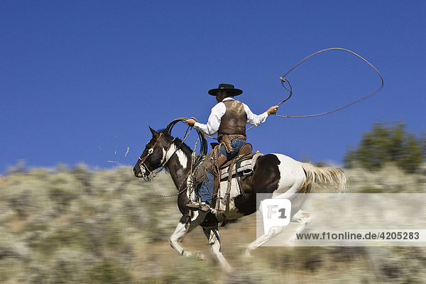 Cowboy reitet mit Lasso Wilder Westen Oregon USA