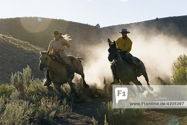Cowgirl and cowboy riding  Oregon  USA