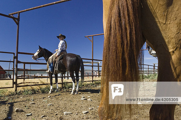 Cowgirl und Cowboys arbeiten auf Farm  Wilder Westen  Oregon  USA