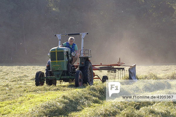 Farmer making hay  Upper Bavaria  Germany