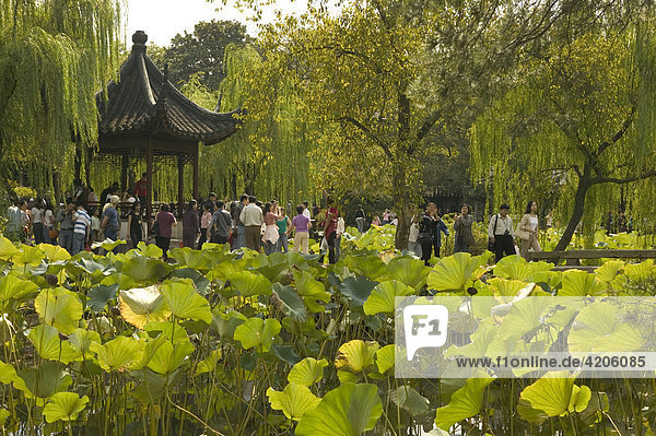 Humble Administrator's Garden  Suzhou  China  Asia