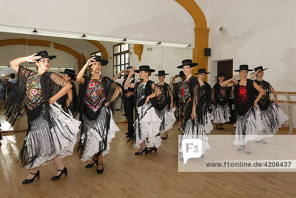 Flamenco Gruppe trainiert im Conservatorio de Danza  Sevilla  Andalusien  Spanien  Europa