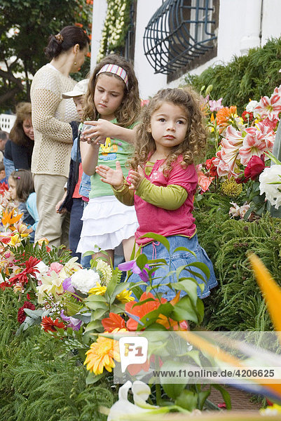 April flower festival  Praca do Municipio  children placing flowers into the wall of hope  Funchal  Madeira  Portugal  Europe