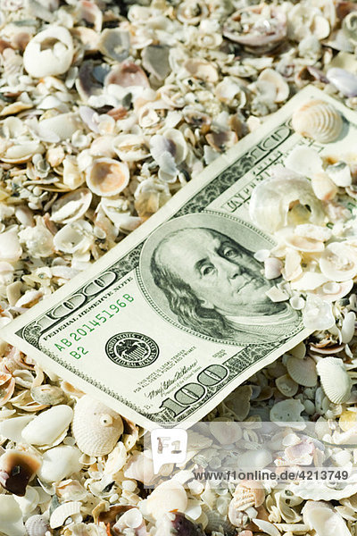 One-hundred dollar bill half buried in seashells