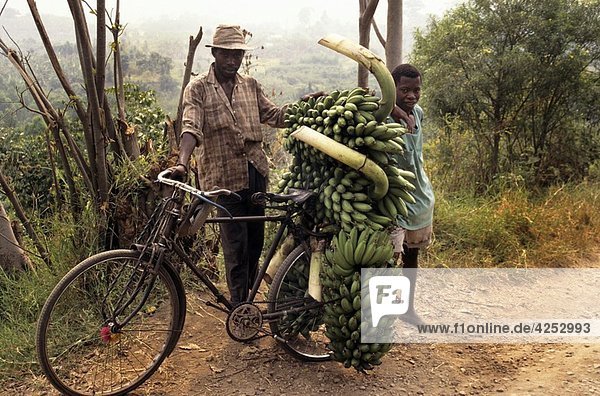 bananas in Uganda