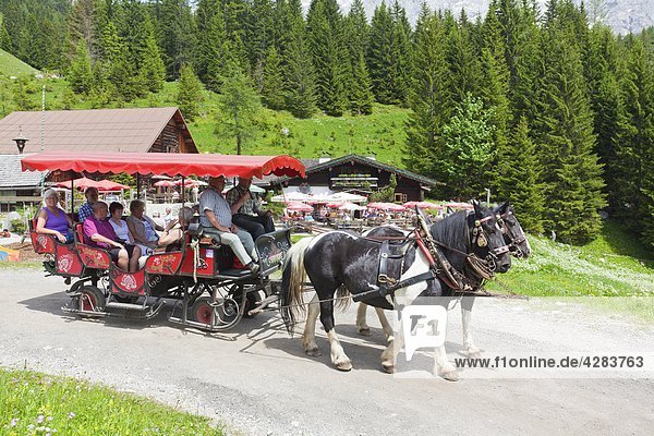 Carriage for tourists Unterhofalm Salzburger Land Austria Europe