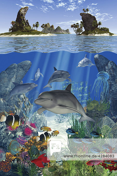 Delfine und andere Meeresbewohner in klarem Wasser