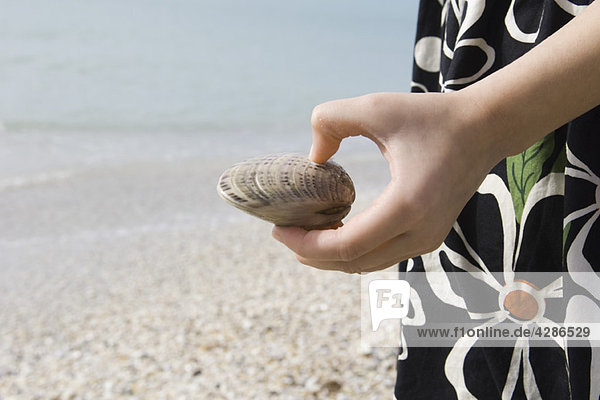 Girl holding clam shell on beach  cropped