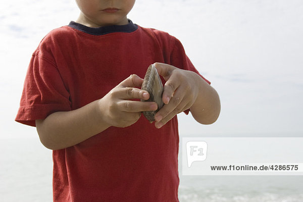 Junge untersucht Muschelschale am Strand
