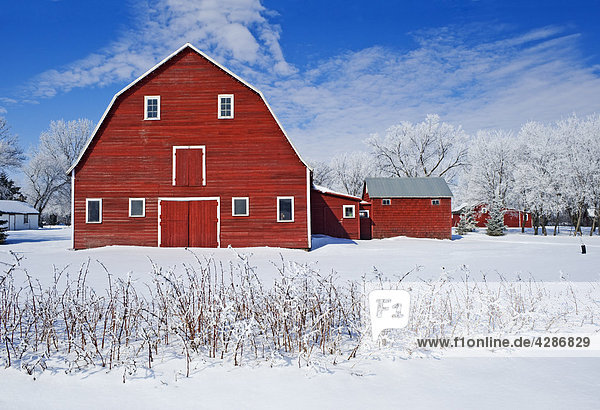 Red Barn  Winter  Grande Pointe  Manitoba  Kanada
