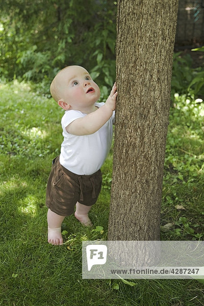 Baby boy standing and looking up at a tree  Ontario