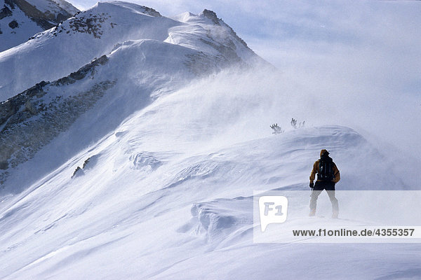 Zurück Langläuferin Klettern Ridge im Blizzard Bedingungen Chugach CT SC Alaska Winter