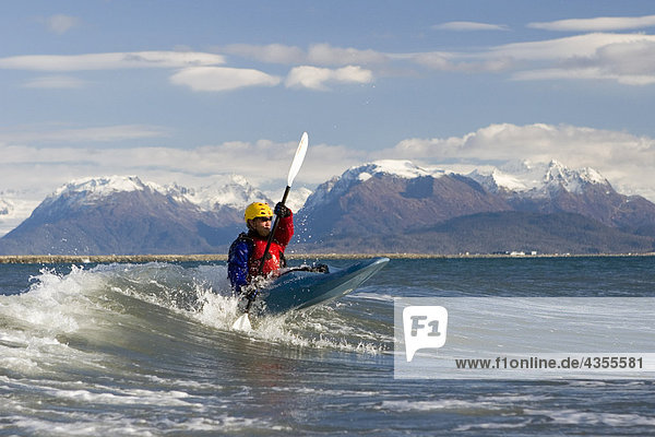 Man Kayak Surfing waves on Katchemak Bay near Homer Kenai Peninsula Alaska Autumn