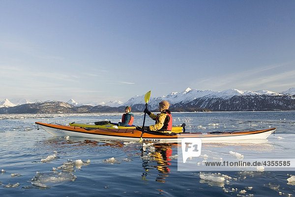 Women sea kayaking in ice floe of Kachemak Bay near Homer Kenai Peninsula Alaska Winter