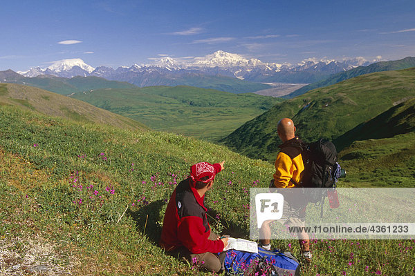 Hikers Stop to Read Map Denali SP SC Alaska Summer /Mt McKinley background