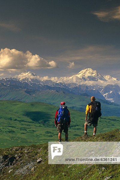 Hikers on Tundra in Denali State Park SC Alaska Summer w/Mt McKinley background