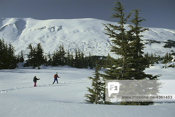 Langlauf Skifahrer Turnagain Pass Alaska