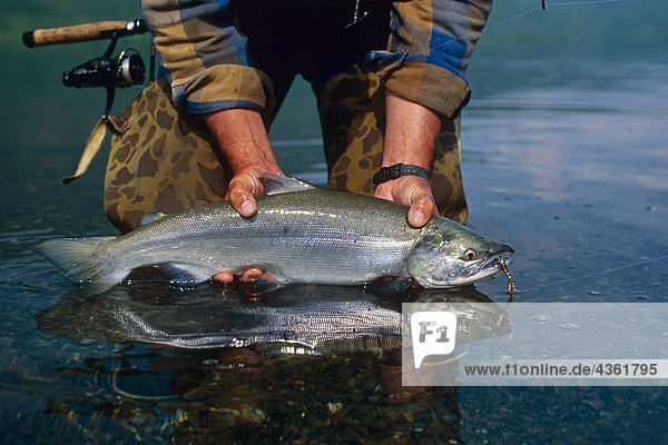 Fisherman Holding Sockeye Salmon Southwest Alaska