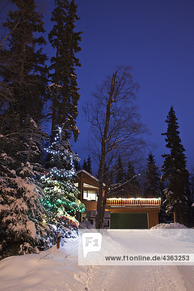 nebeneinander neben Seite an Seite beleuchtet bedecken Wohnhaus Hintergrund Weihnachtsbaum Tannenbaum Nachbarschaft Fahrweg Zimmer Wald Schnee