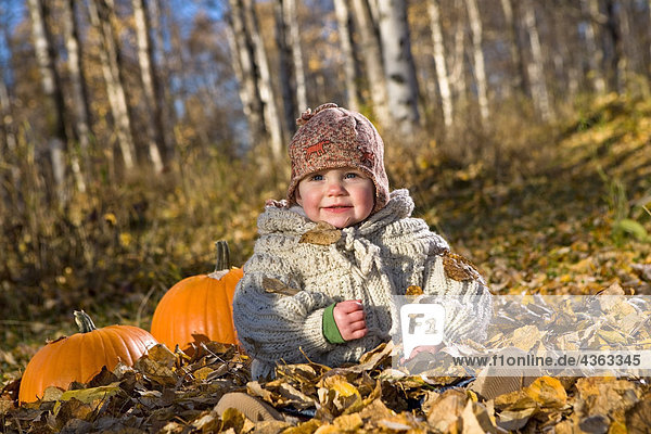 Young girl toddler playing in the Fall leaves next to pumpkins in a forested area of Anchorage in Southcentral Alaska