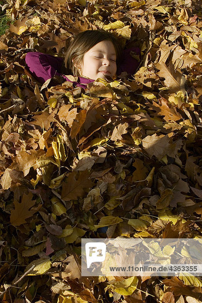 Eichenblatt Haufen Sonnenstrahl unterhalb schlafen Herbst Rechen jung Mädchen