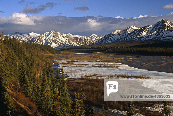 Alaskakette Landschaft Denali NP Sommer