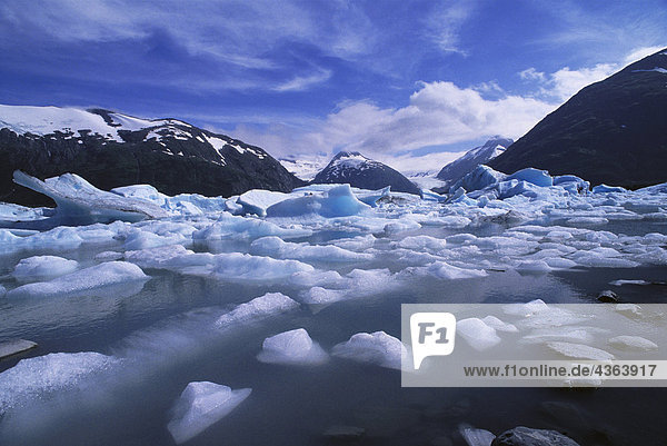 Eisberge Portage Lake Portage-Gletscher SC AK