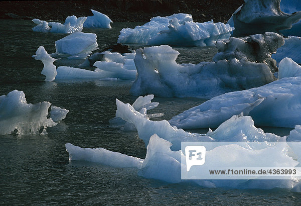 Eisberge schwebend in Portage Lake SC AK Sommer