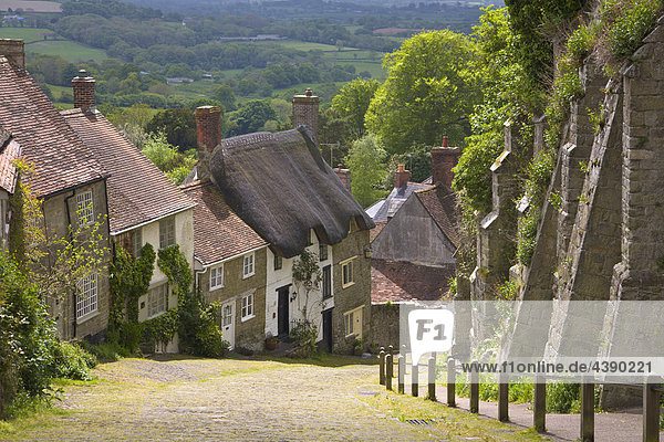 traditionell  ländlich  Cottages  Gold Hill  Shaftesbury  Dorset  England  Vereinigtes Königreich  terrassiert  Grossbritannien