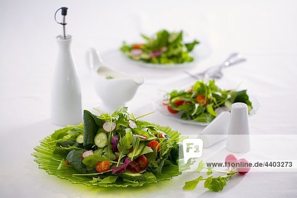 Spring salad with cucumber  radishes and cherry tomatoes