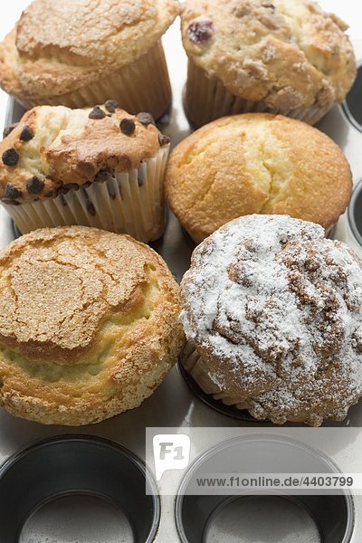 Assortierte Muffins in Muffinblech (Draufsicht)