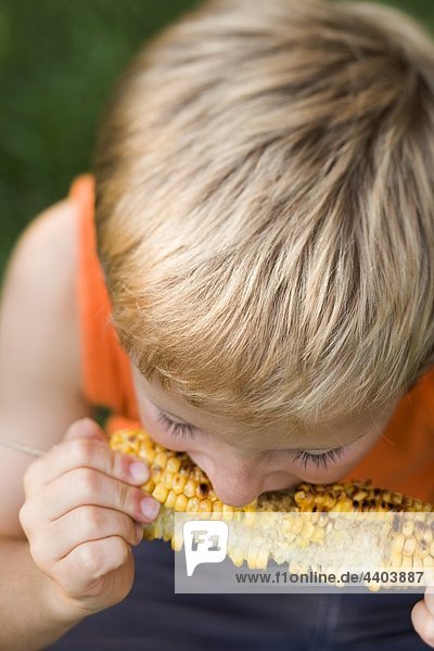 Small boy eating grilled corn on the cob