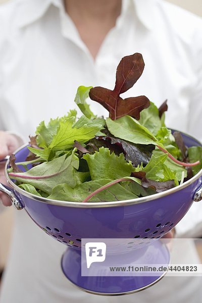 Woman holding colander full of mixed salad leaves