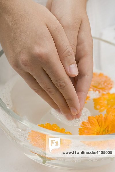 Frau Eintauchen ihre Hände in Seifenwasser mit Ringelblumen