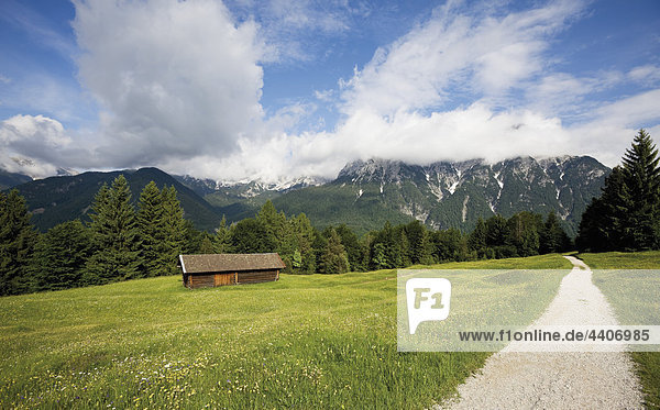 Germany  Bavaria  Hump-meadow near Karwendel mountains