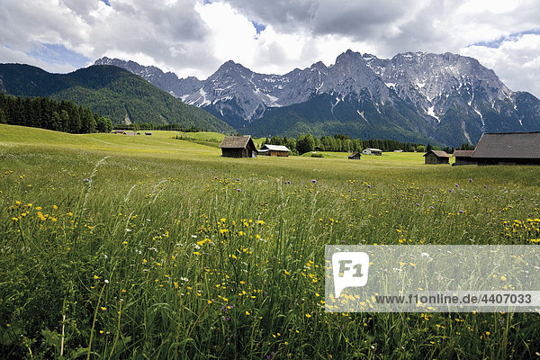 Deutschland  Bayern  Blick auf Buckelwiese mit Karwendelgebirge im Hintergrund