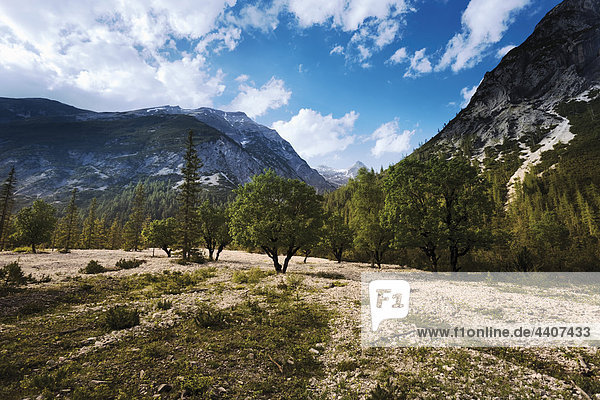 Österreich  Tirol  Landschaft mit Bergen im Hintergrund