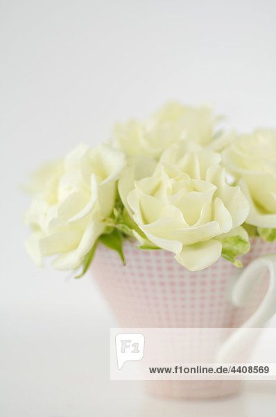 Blumenvase mit weißen Rosen auf weißem Hintergrund  Nahaufnahme