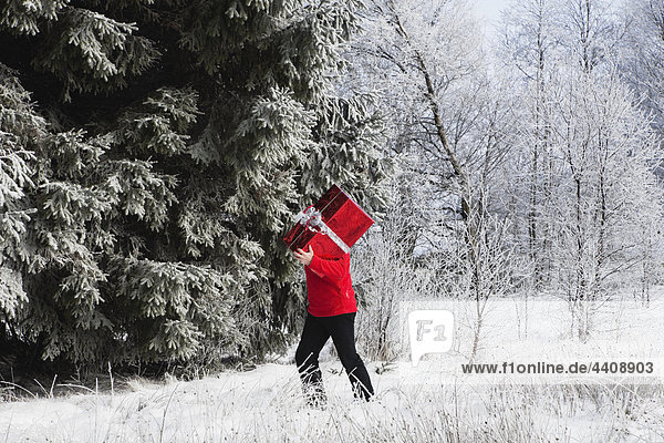Belgien  Wallonien  High Venn  Mann mit Weihnachtsgeschenk und Wandern im Schnee