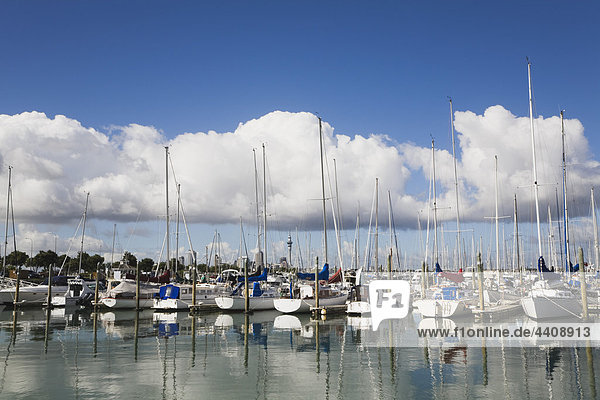 Ozeanien  Neuseeland  Auckland  Nordinsel  Blick auf Bayswater Bootshafen mit Skytower im Hintergrund