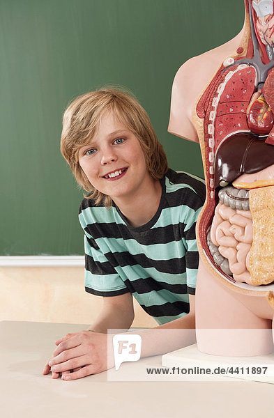 Boy (12-13) with human organs model  smiling  portrait