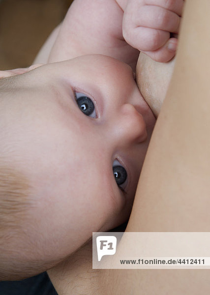 Baby girl (2-5 months) breast feeding  close-up
