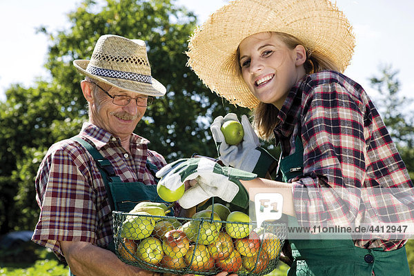 Apple harvest  male and female gardener