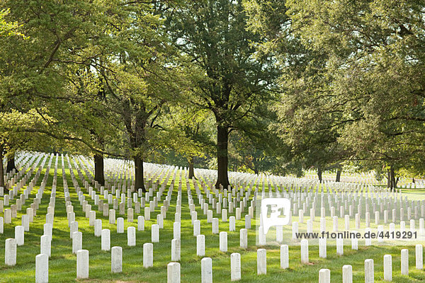 Arlington Nationalfriedhof  Virginia  USA