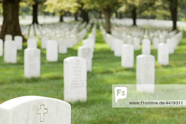 Arlington Nationalfriedhof  Virginia  USA