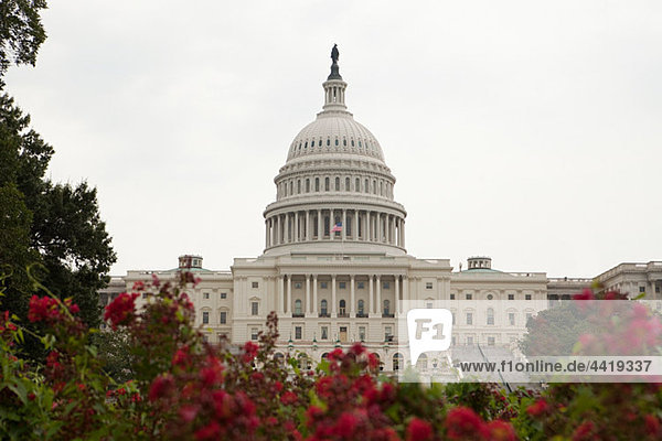 Hauptstadt der Vereinigten Staaten  Washington DC  USA