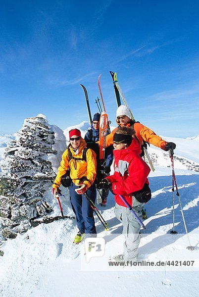 Team of skiers on mountain